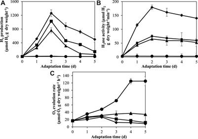 Dark fermentative hydrogen production and transcriptional analysis of genes involved in the unicellular halotolerant cyanobacterium Aphanothece halophytica under nitrogen and potassium deprivation